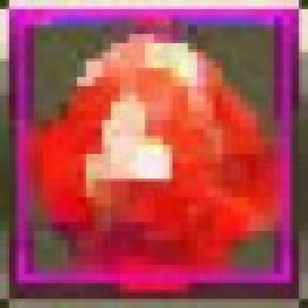 Crystal Saga - 250*[Divine Blood](DB)